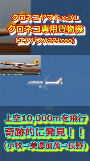 【歓喜】偶然発見！！上空10,000m（33,000ft）を飛行するクロネコヤマト専用貨物機（クロネコヤマト×JAL）【岐阜市】