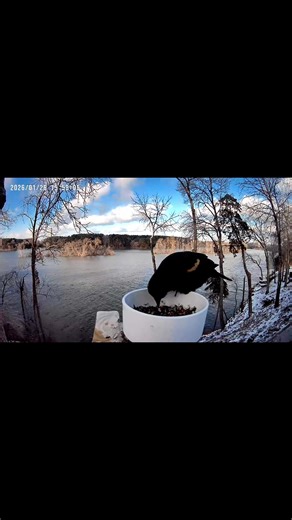 Nerdynature4u (@nerdynature4u)’s videos with original sound - Nerdynature4u