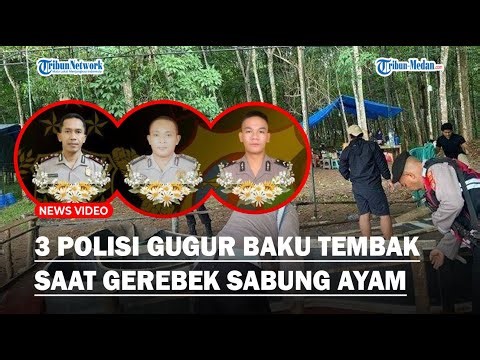 KRONOLOGI KAPOLSEK dan 2 Anak Buah Gugur Usai Baku Tembak saat Gerebek Sabung Ayam di Lampung