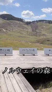 砥峰高原/ノルウェイの森/旅は続くよどこまでも#rshort #おでかけvlog #二人旅