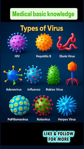 Medical Learners on Instagram: "“Different viruses, different dangers — stay aware, stay protected. #trending #educational #shorts #instagramreels #doctor #viral #aims #nurse #doctorlife #VirusTypes #Microbiology #Virology #StaySafe #HealthAwareness #MedicalStudy #NursingNotes #ExamPreparation #AIIMSNotes #StudyMaterial"