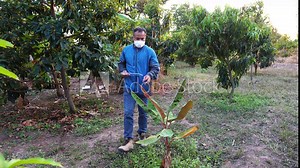 Smart farm technology, quality control and inspection with holographic technology