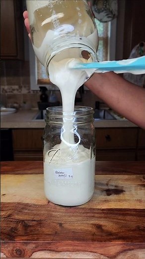 How to Make Soy-Free, Nut-Free Vegan Mayo | Creamy, Light & Gut-Friendly