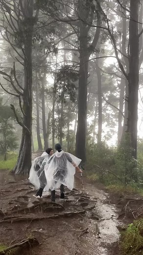 Mountain Date di Gunung Prau Wonosobo