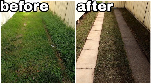 Hidden for Years: Mowing, Edging, and Pressure Washing Unveil the Past