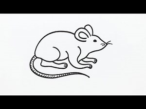 How to Draw a Rat Step by Step | Easy Rat Drawing Tutorial for Beginners