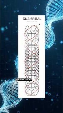 Activate your Merkaba Light Body | Healing with the Chariot of Ascension #merkaba #shorts