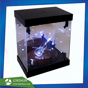 [Hot Item] Transparent Acrylic LED Display Cabinet with Spotlight Illuminated Acrylic Display Box with Black Matt
