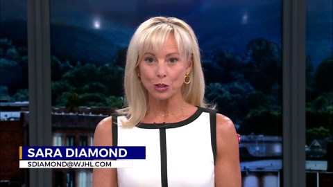 Yoda statue declared 'honorary citizen' after Jonesborough BMA approves permit