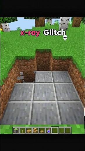 Minecraft x-ray Glitch Moment