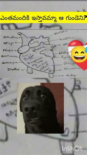 #fuuny #girls #heart | Ee papa gundeni mukkalu chesu panchesindiga 😅❤️‍🩹 ||funny short labling heart