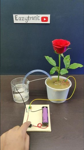 Plant Irrigation System Without Arduino Uno #irrigation #irrigationsystem #plants #iot #diy #arduino