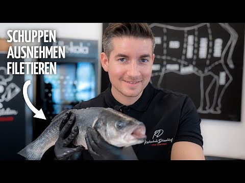 Fisch entschuppen, ausnehmen, filetieren für Anfänger & Fortgeschrittene!