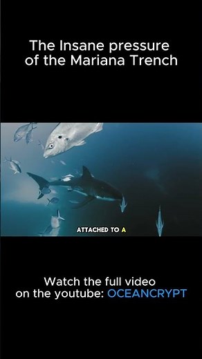The Insane Pressure of the Mariana Trench