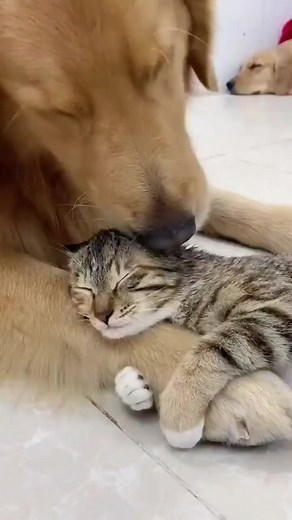 4.5K views · 49 reactions | Pretty things on Reels | Facebook