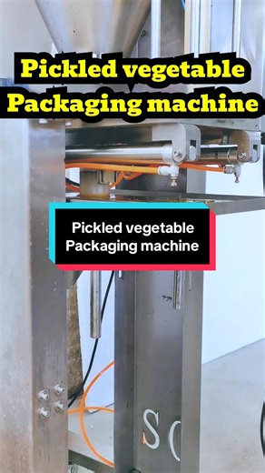 Pickled Vegetables Packaging Machine Overview