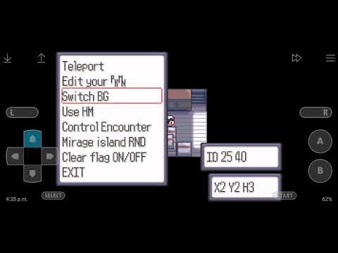 Pokemon ruby speedrun (german makes it faster)