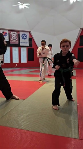 Patrick's Purple Belt Test -- Poomsae (Form) Sa Jang Practice