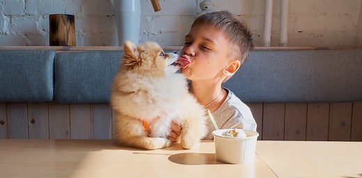 Many owners allow their dogs to lick their faces, but it could be unhealthy – and even fatal