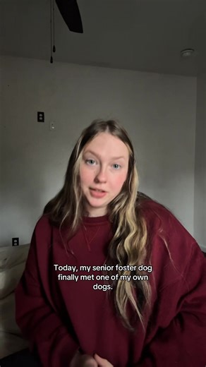 Papi makes a friend 🥹 | papi