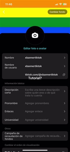 TikTok Banner Tutorial for iPhone X & Android