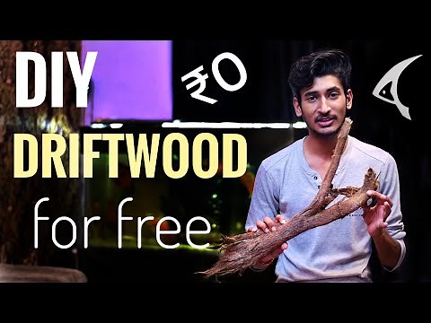 How to make Driftwood For Aquarium (FREE) | DIY Driftwood at home for Free