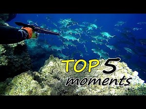 😲TOP 5 moments of double 🎞 | Spearfishing the Aegean 🇬🇷 ✔