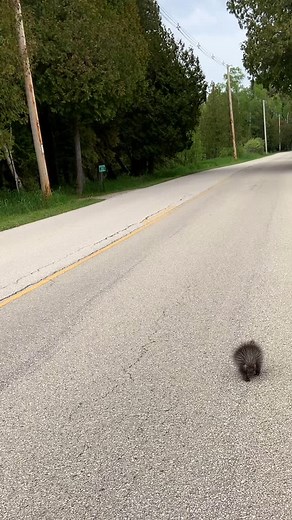 This one was very friendly | Carl Morrison