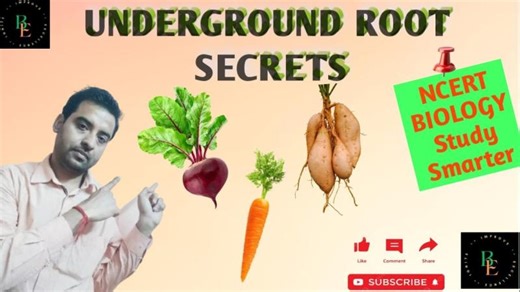 Root Modifications | Taproot &amp; Adventitious Roots | #BioExplorer | Dr. Sourav Mukherjee