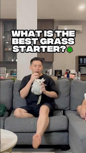 What's the best Grass type starter?🌳#pokemon #pokemontcg #pokemoncommunity #tcgcommunity #venusaur