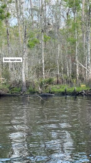 Alyssa Brown on Reels