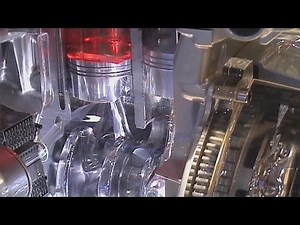 MapleSim: Real-World Experiences