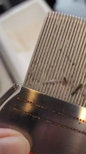 19K views · 65 reactions | Head lice can spread from an infested...