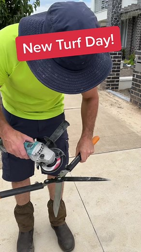 New Turf Day #lawncare #lawntok #grasstok #mowing #cylindermowers #howto