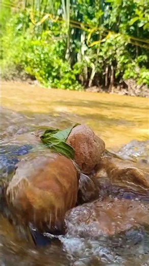 A Tiny Escape to Nature 🌿 (ASMR) #nature #relxing