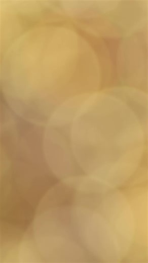 Taste the flavors of the season. Bigelow's Seasonal Tea Collection brings comfort, joy, and cozy flavor to every moment! | Bigelow Tea