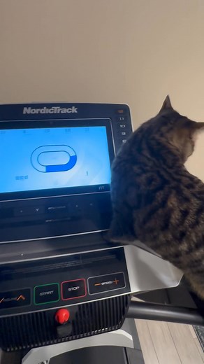 Gonna put out an eye some day… | Brent Hall