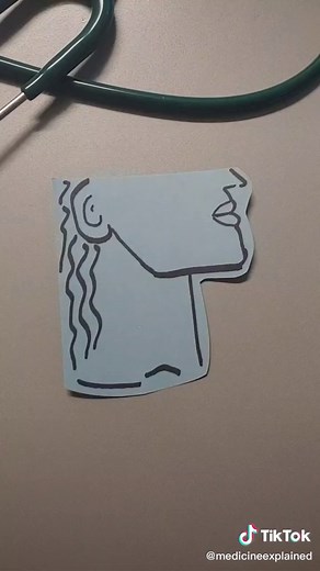 Medicine Explained on TikTok