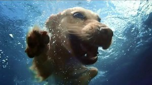 TD Ameritrade TV Spot, 'Moments That Matter: Invest in Your Next Passion'