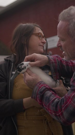 Mushu Duck Animal Chiropractic Adjustment for Ataxia Treatment