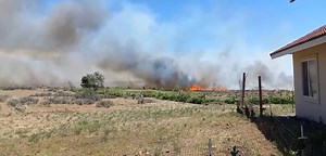 15K views · 184 reactions | UPDATE : Level 3 evacuations issued due to fire burning near Soap Lake. Read the story here: https://bit.ly/3bzTNZY Video: Rock Bottom Rocker Pet Pantry | Source ONE News | Facebook