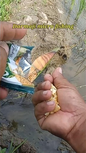 Cara Meracik Membuat Umpan ikan Wader Uceng Paling Ampuh Go Potato Aja #ramadanwithyoutube