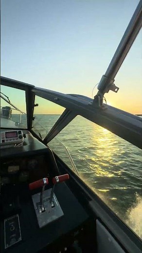 1986 Searay 340 Express Cruiser