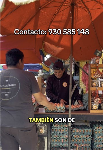 Miércoles 14 de Enero del 2026 Celda de huevo pardo s/.6. Media Java s/.36 Celda de huevo de gallina s/.9 Media Java s/.43 Kg de huevos s/.4.00 Kg x mayor s/.3.60 #Trujillo #Wevini #Delivery #Huevos