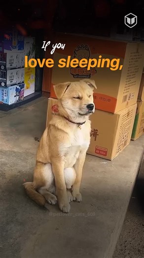 LeapScholar on Instagram: "OIST Research Internship 2026 is officially open 🧪🇯🇵 If you’re a science student (or recently graduated), this one’s for you: 🔬 Fully funded internship in Okinawa 🌍 Work with global researchers in real labs 💰 Daily stipend of JPY 2,400 per working day + free housing + flights 📅 3–6 months, you choose 🏝️ Oh—and you get to live by the beach Apply by Oct 15, 2025 for the Spring ‘26 intake Comment “Japan” and we’ll send over more details! [ japan, anime, matcha, re