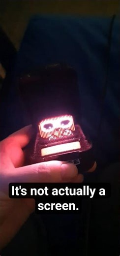 how Bitzee actually works