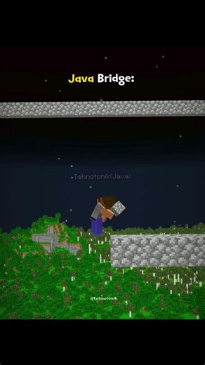 Minecraft Java Bridge vs Bedrock Bridge Moment