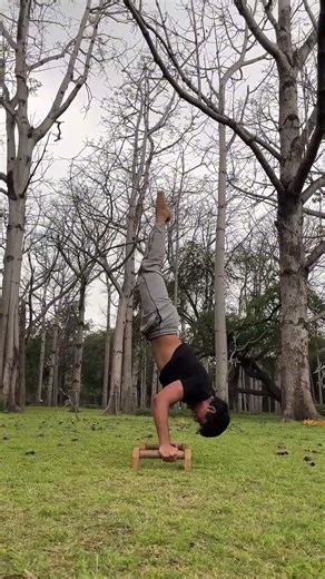 Advanced Calisthenics Combo 🔥 #gym #fitness #motivation