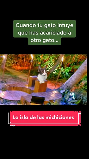 La isla de las michiciones 🔥🐱 #gato #laisladelastentaciones #laisladelastentaciones6 #hoguera #gatito