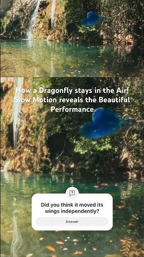 Secrets of a Dragonfly's Flight Revealed in Slow Motion #nature #wildlife #waterfall #dragonfly